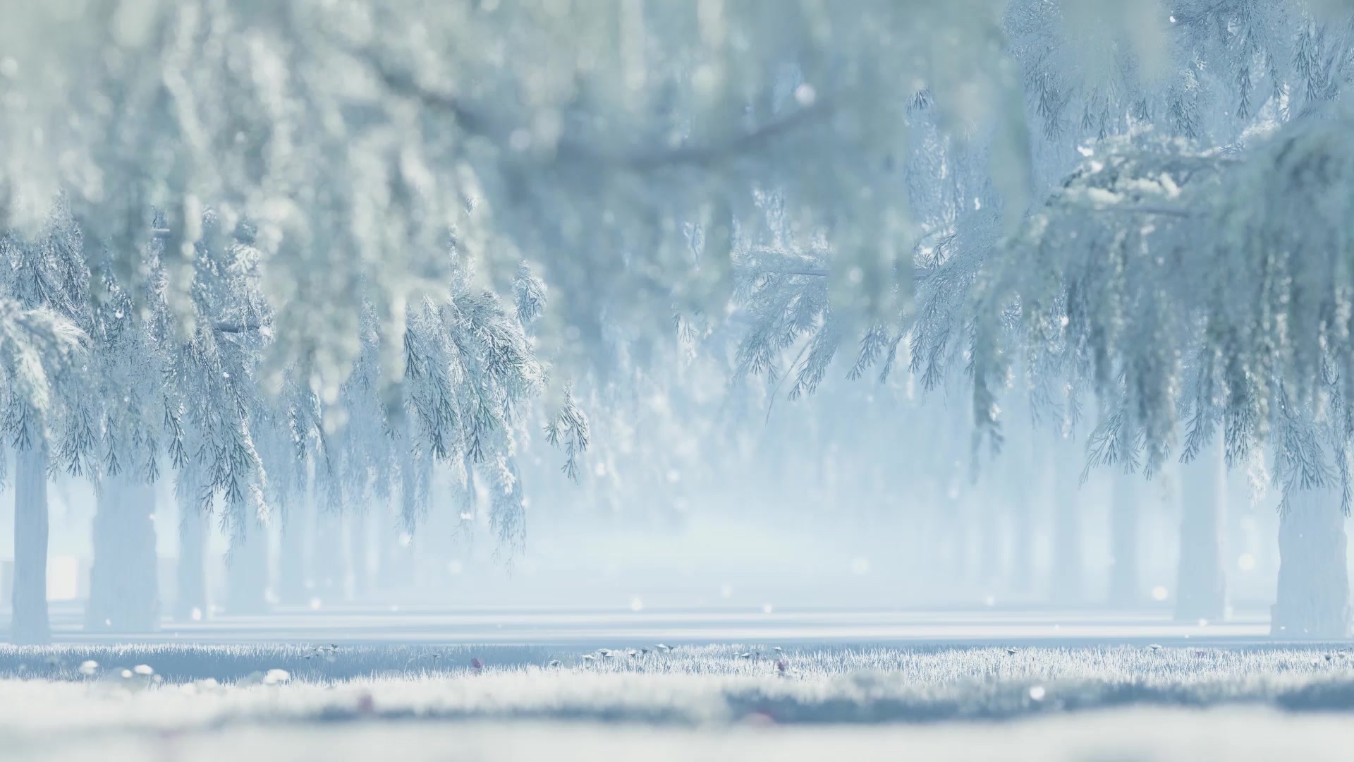 Winter Forest Live Wallpaper