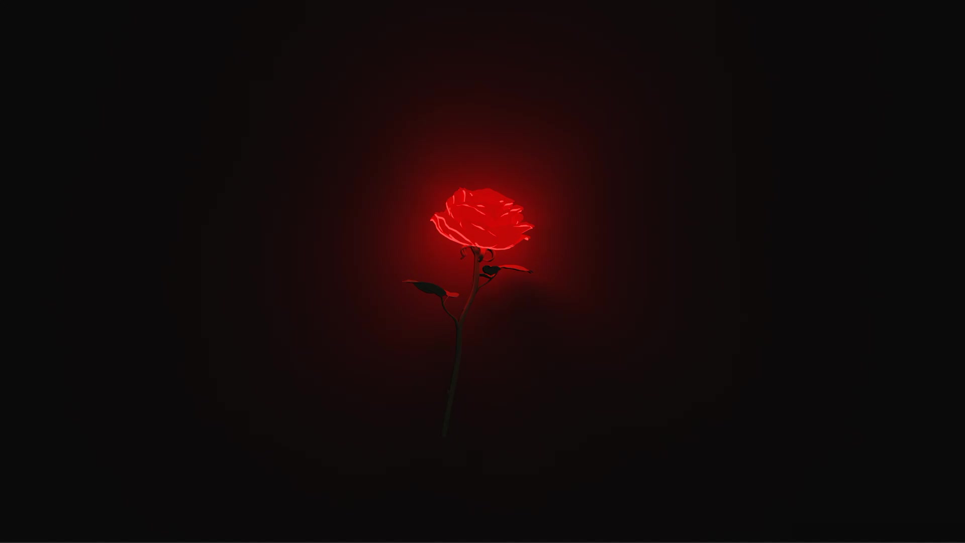 Rose Live Wallpaper
