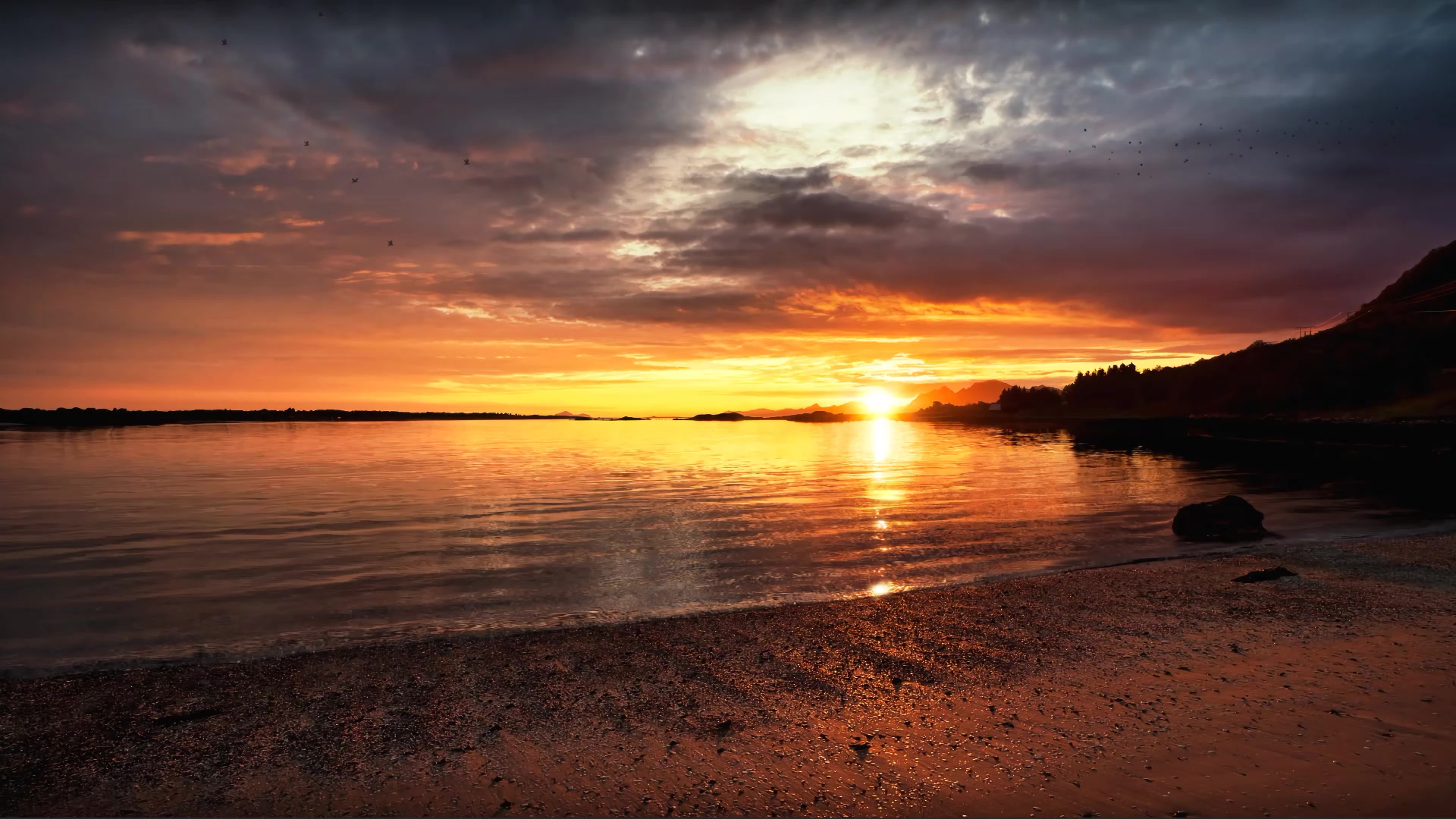 Seaside Sunset Live Wallpaper