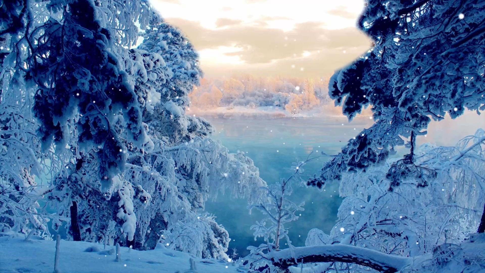 Snow Live Wallpaper