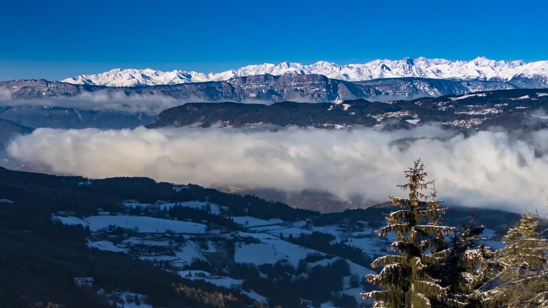 Snow Live Wallpaper