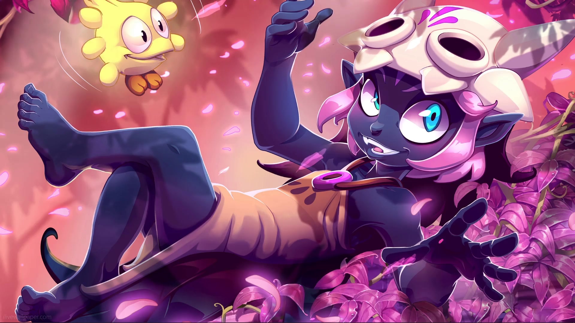 Coqueline, Dofus Live Wallpaper