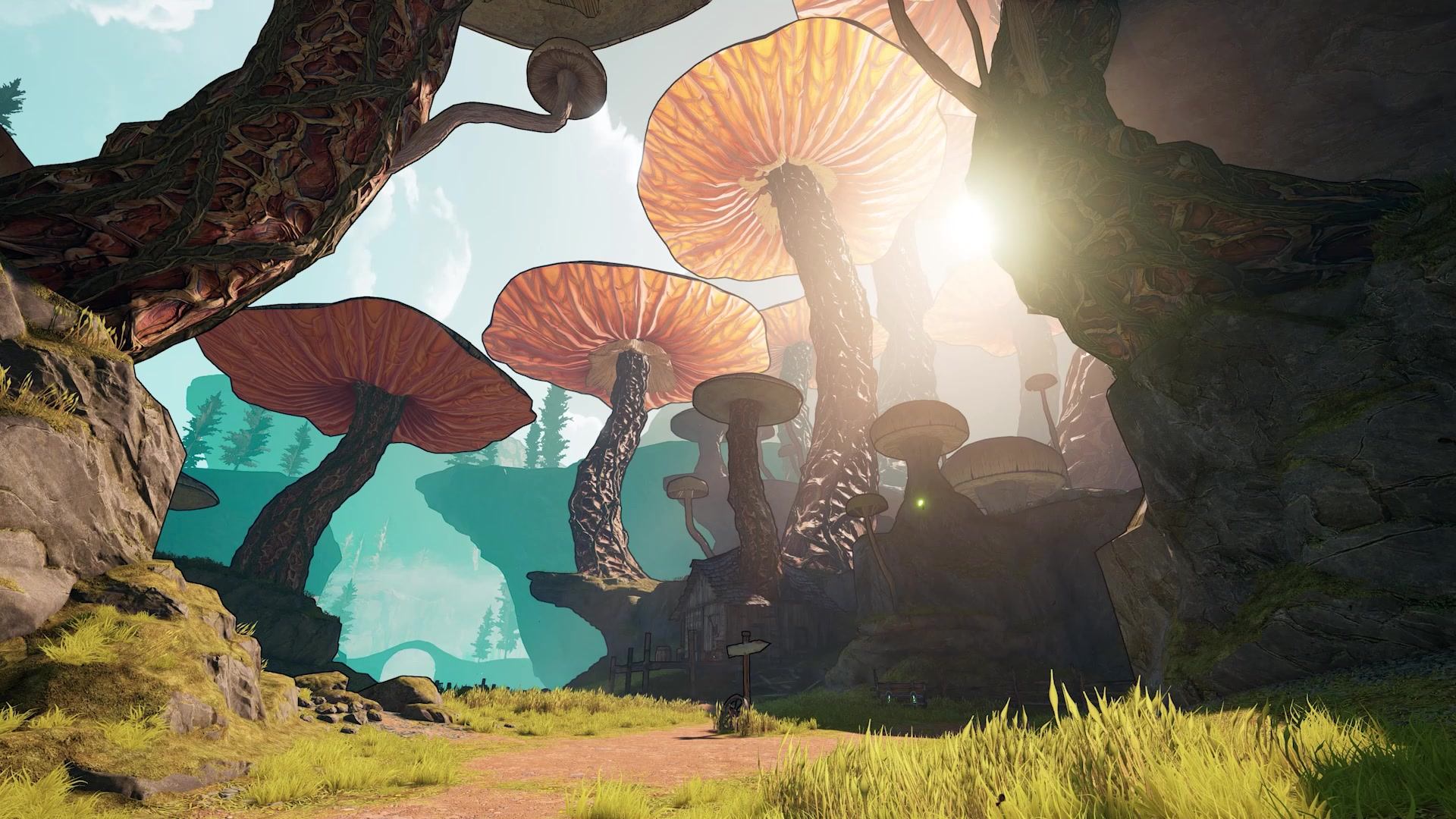 Wonderlands Mushrooms Live Wallpaper
