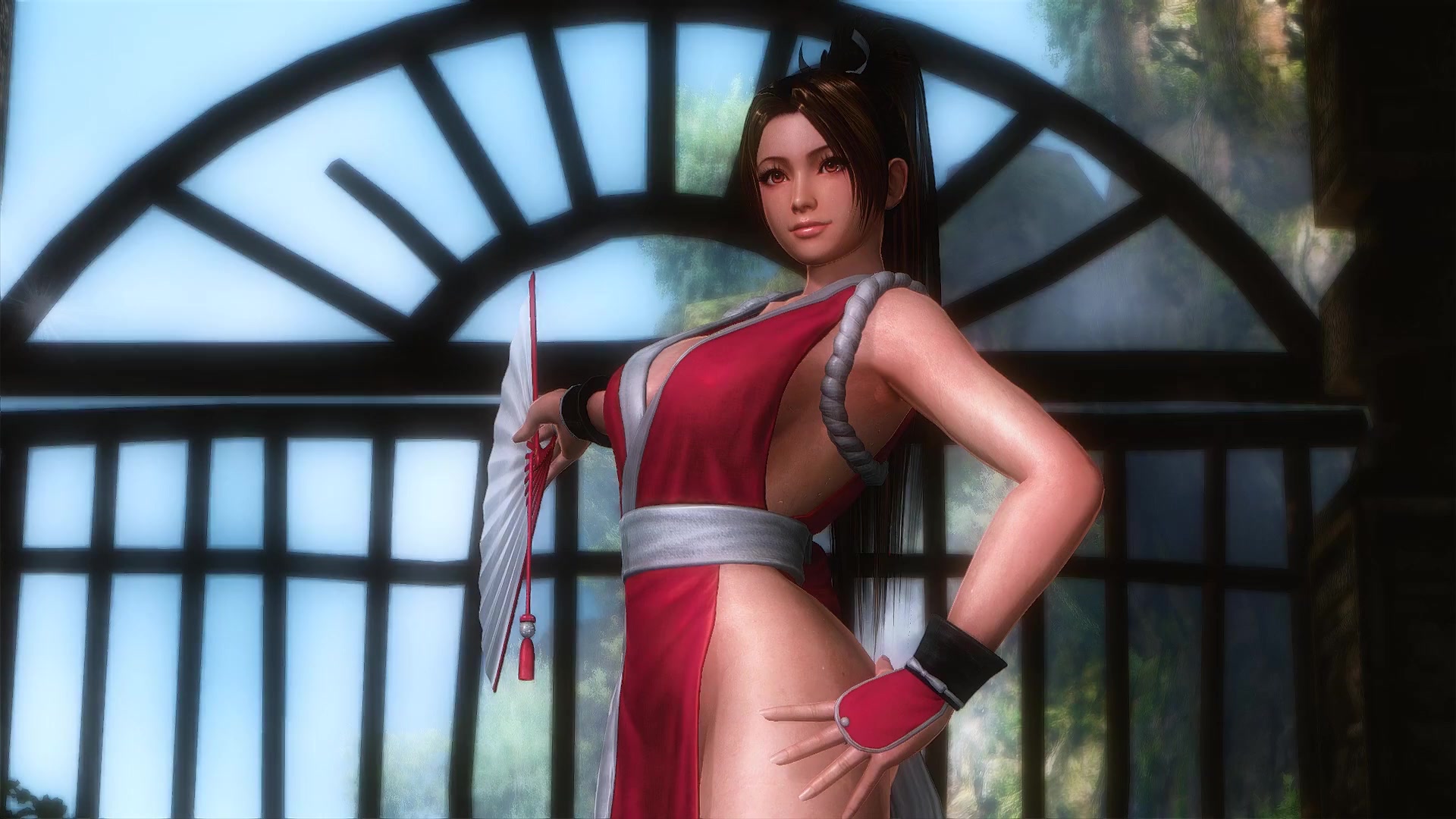 Dead Or Alive 5 Last Round Mai Shiranui Live Wallpaper