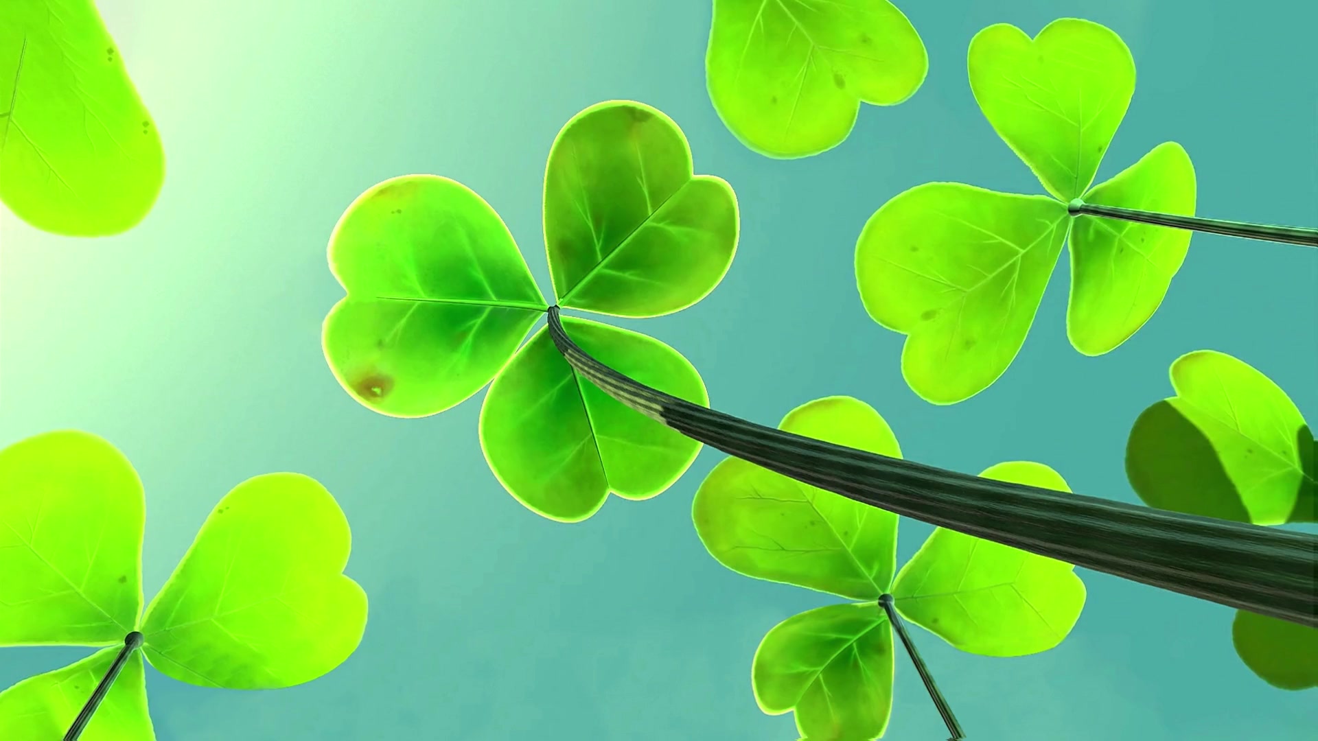 A Bugs Life Clovers Live Wallpaper