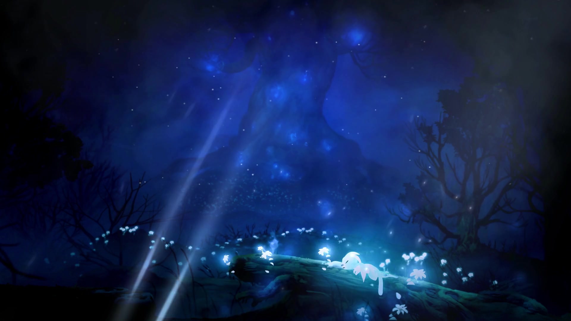 Sleeping Ori Live Wallpaper