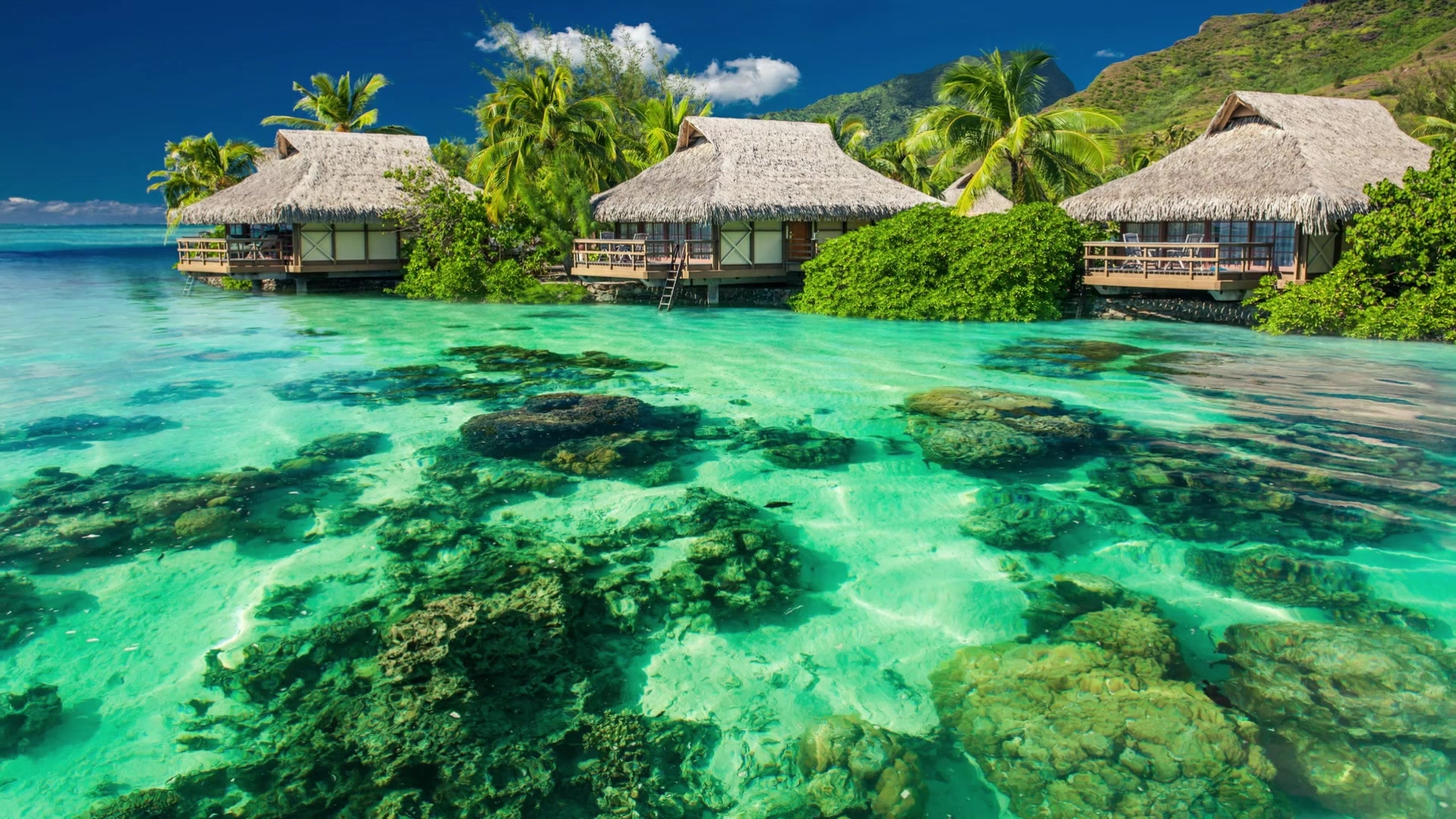 Vacation Resort Live Wallpaper
