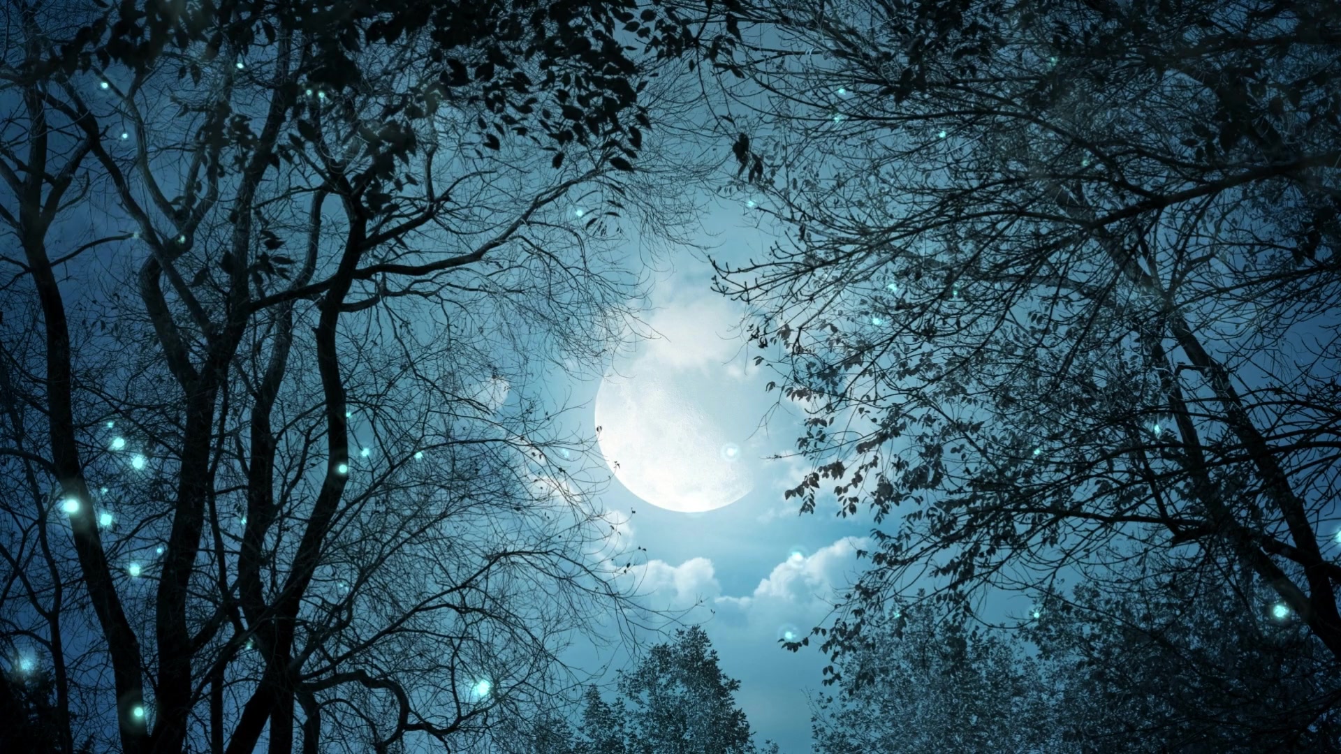 Night Moon Live Wallpaper