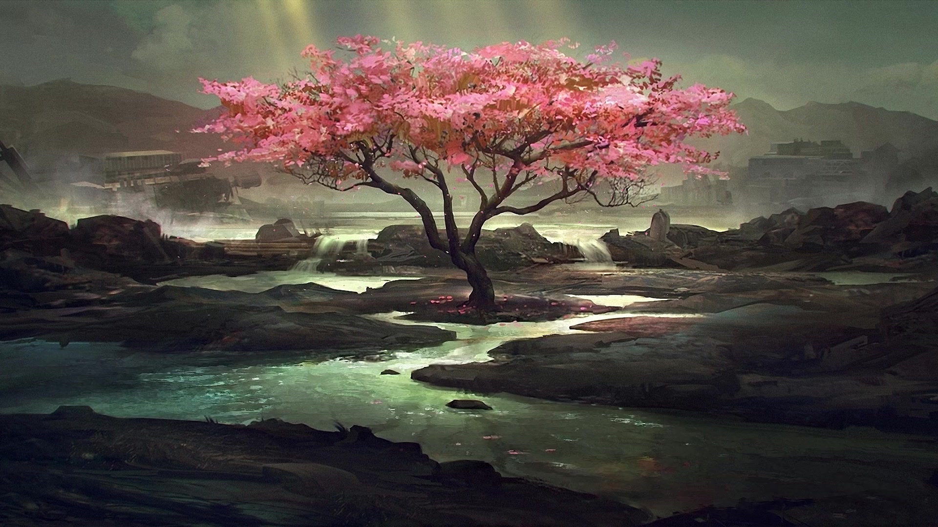 Sakura Tree Live Wallpaper