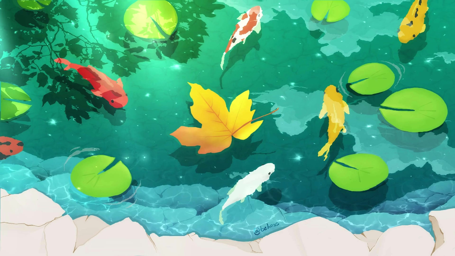 Koi Pond Live Wallpaper