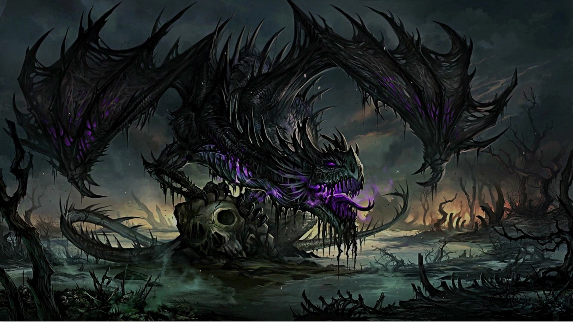 Black Dragon Live Wallpaper