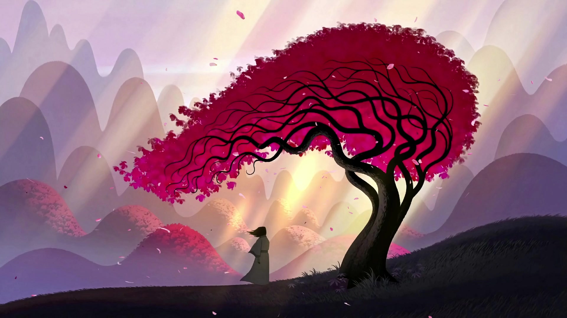 Samurai Jack Live Wallpaper