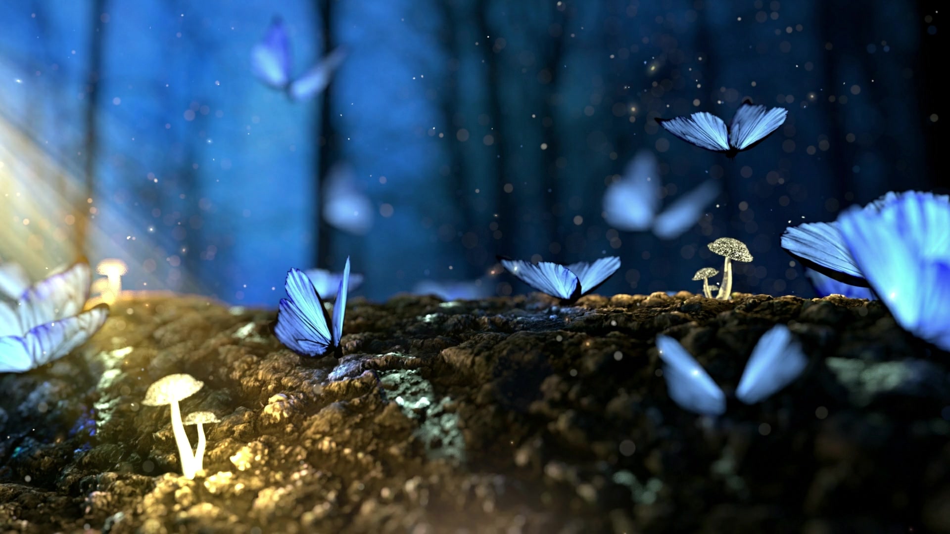 Blue Butterflies Live Wallpaper