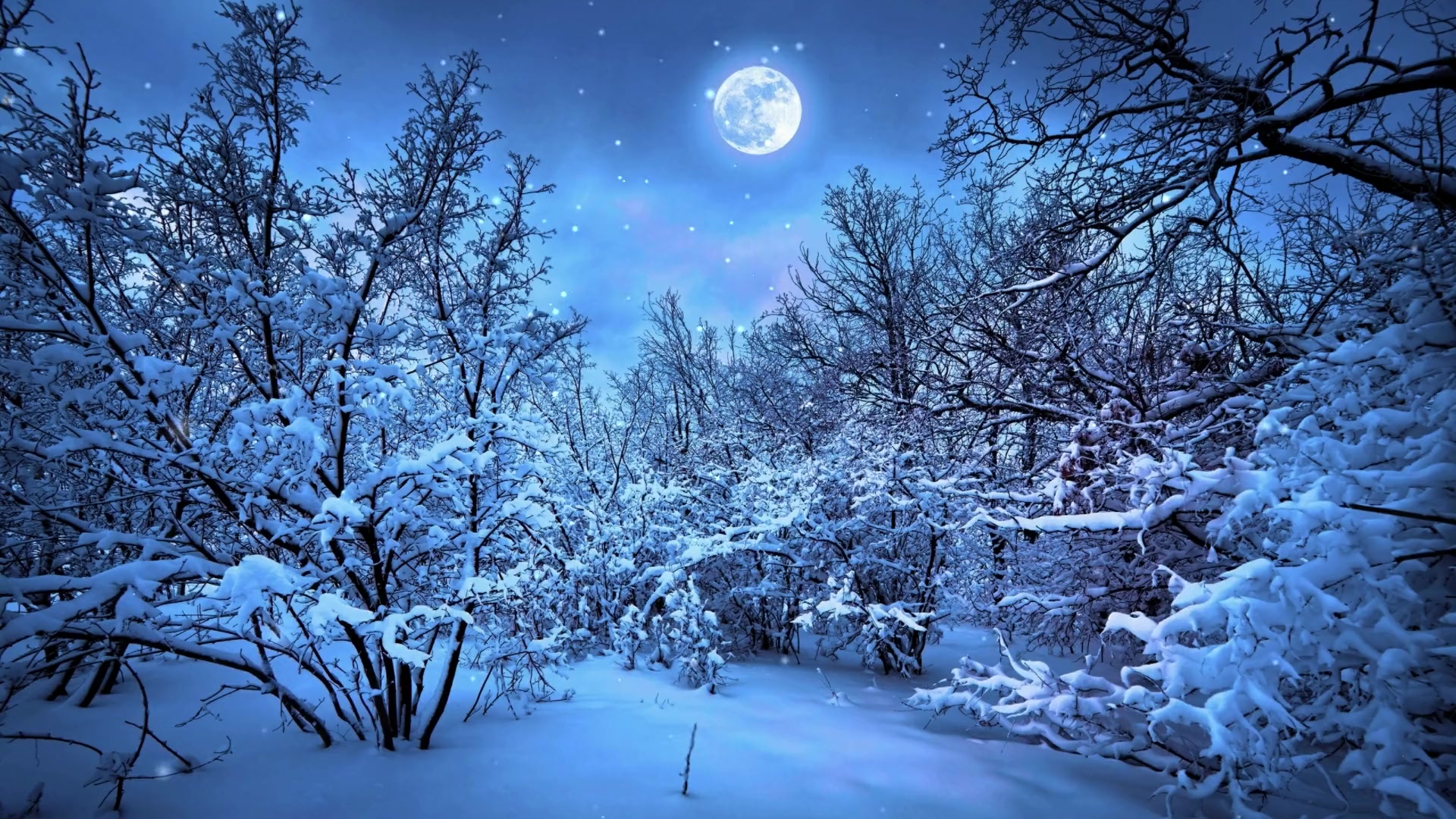 Snow Moon Live Wallpaper