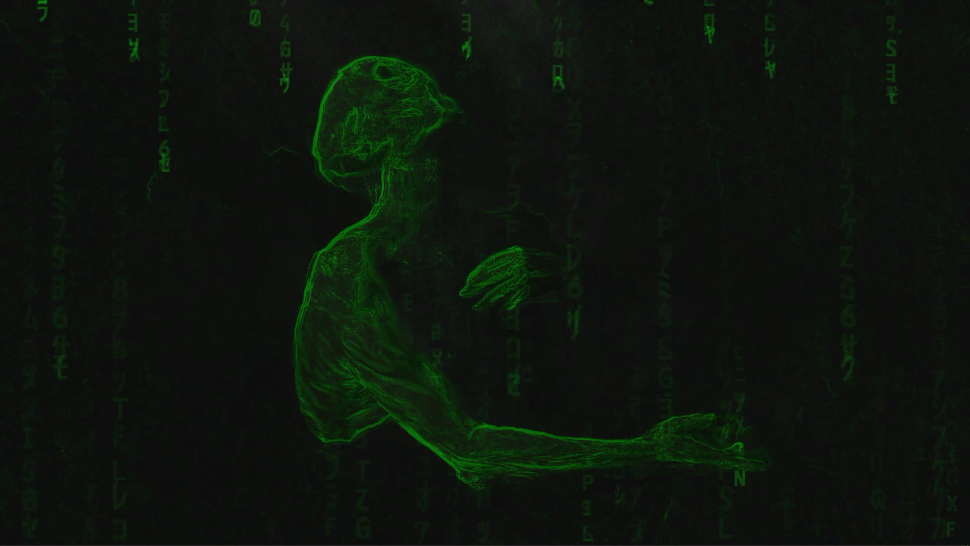 Lost in Matrix Live Wallpaper