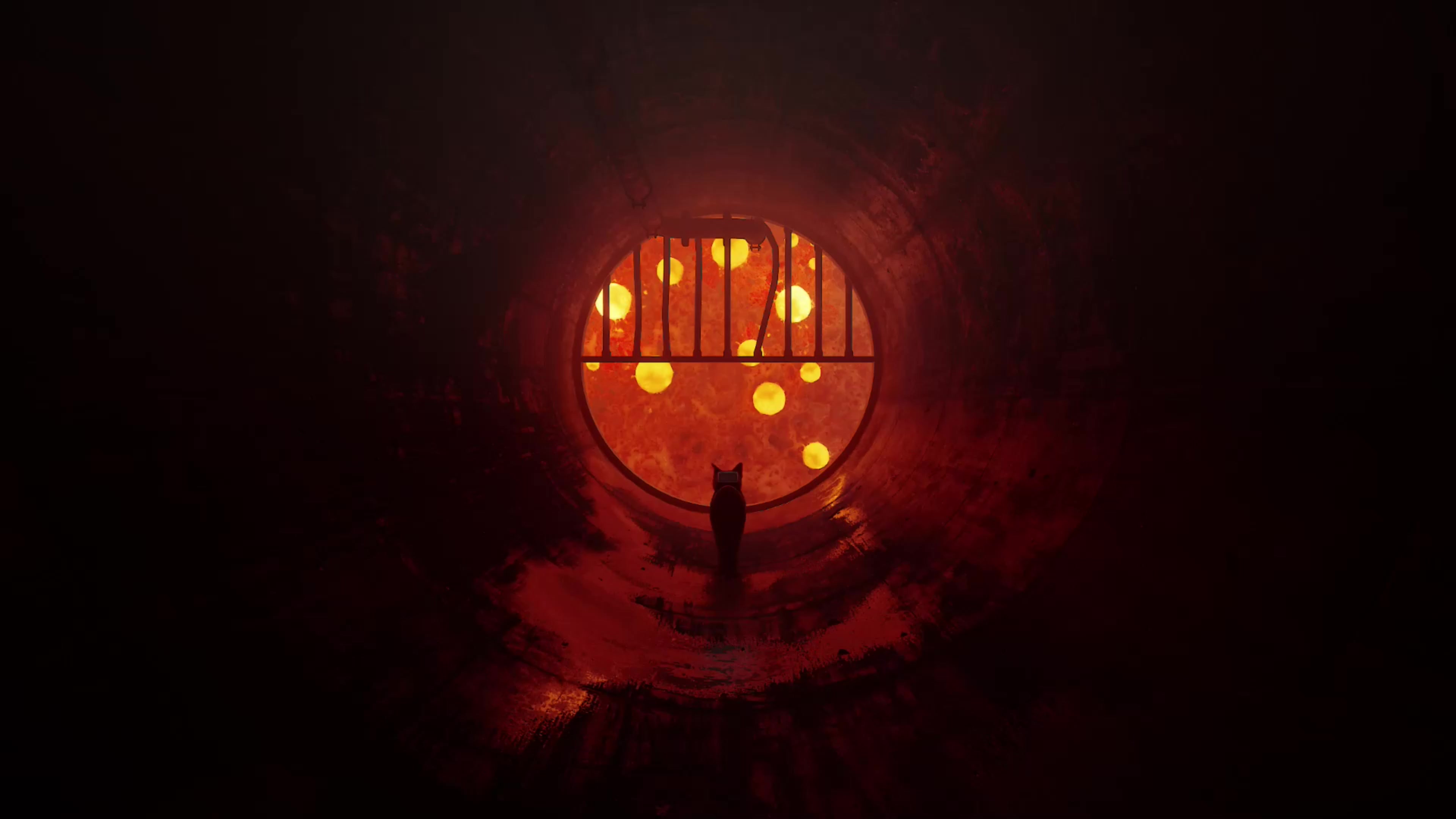 Stray, cat Live Wallpaper