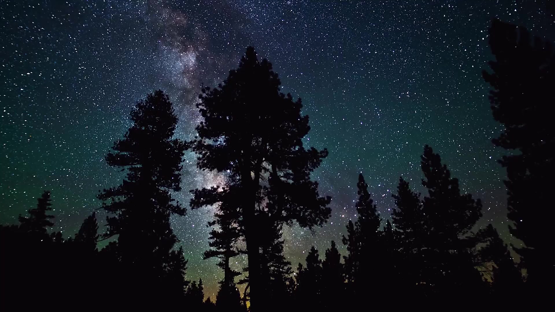 Trees Stars Night Sky Live Wallpaper