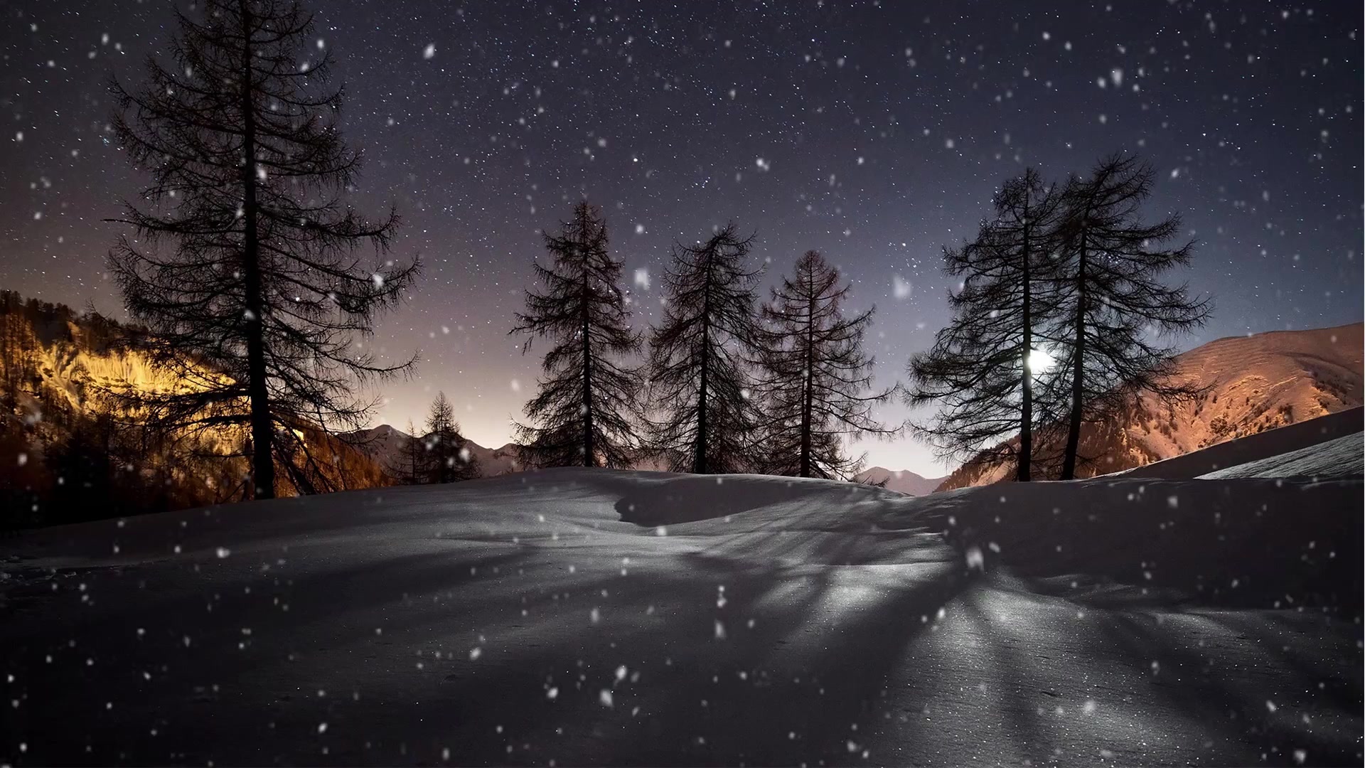 Winter Sun Live Wallpaper