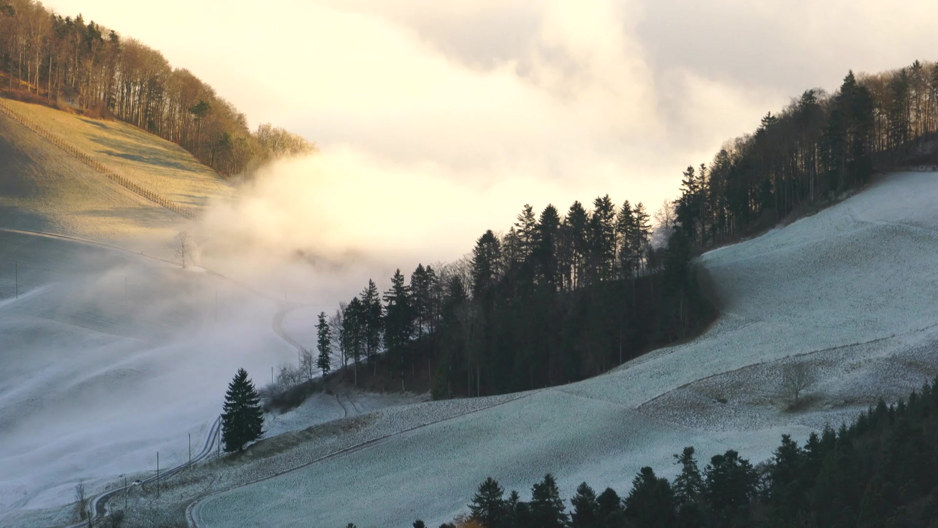 Wave Of Fog mystical fog Live Wallpaper