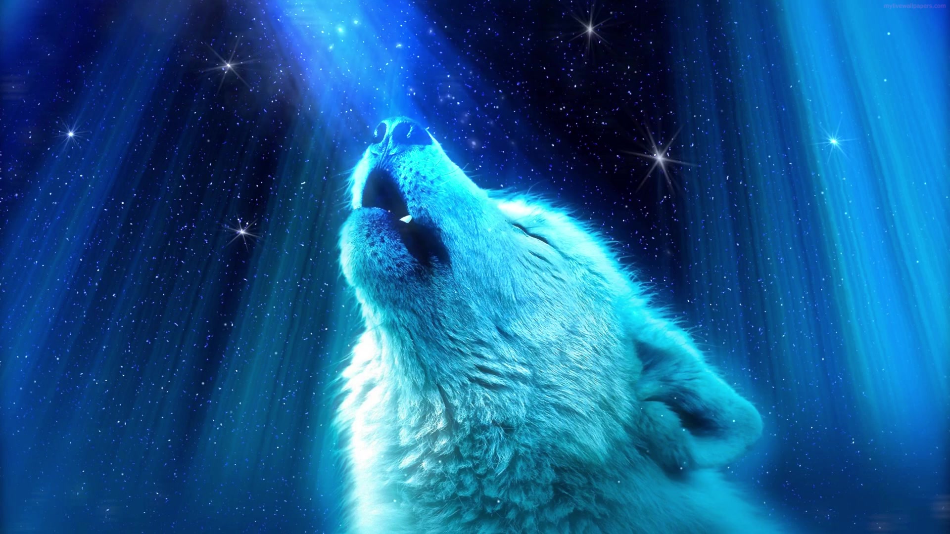 Wolf Live Wallpaper