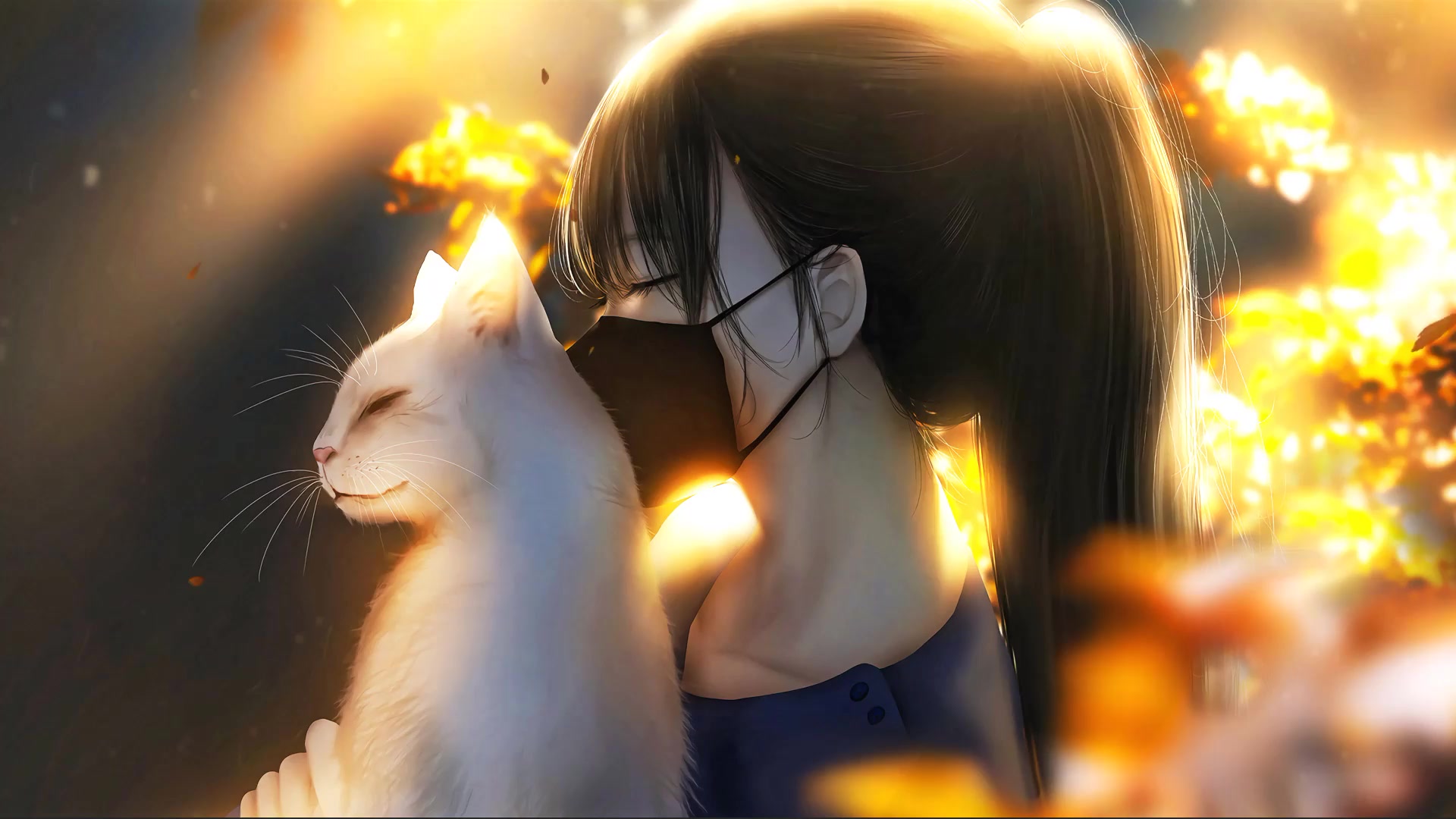 Lily My Blind Cat Live Wallpaper