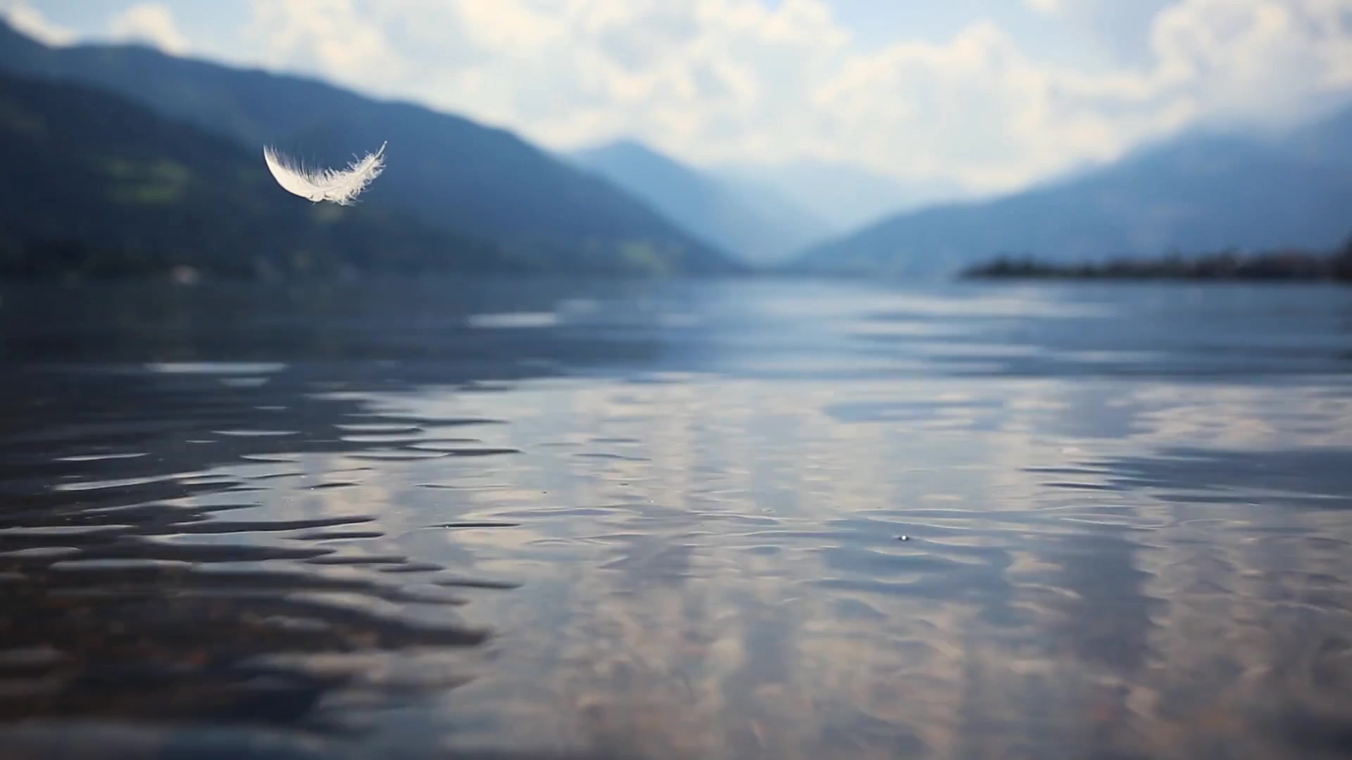Manchmal Ist Es Federleicht Live Wallpaper