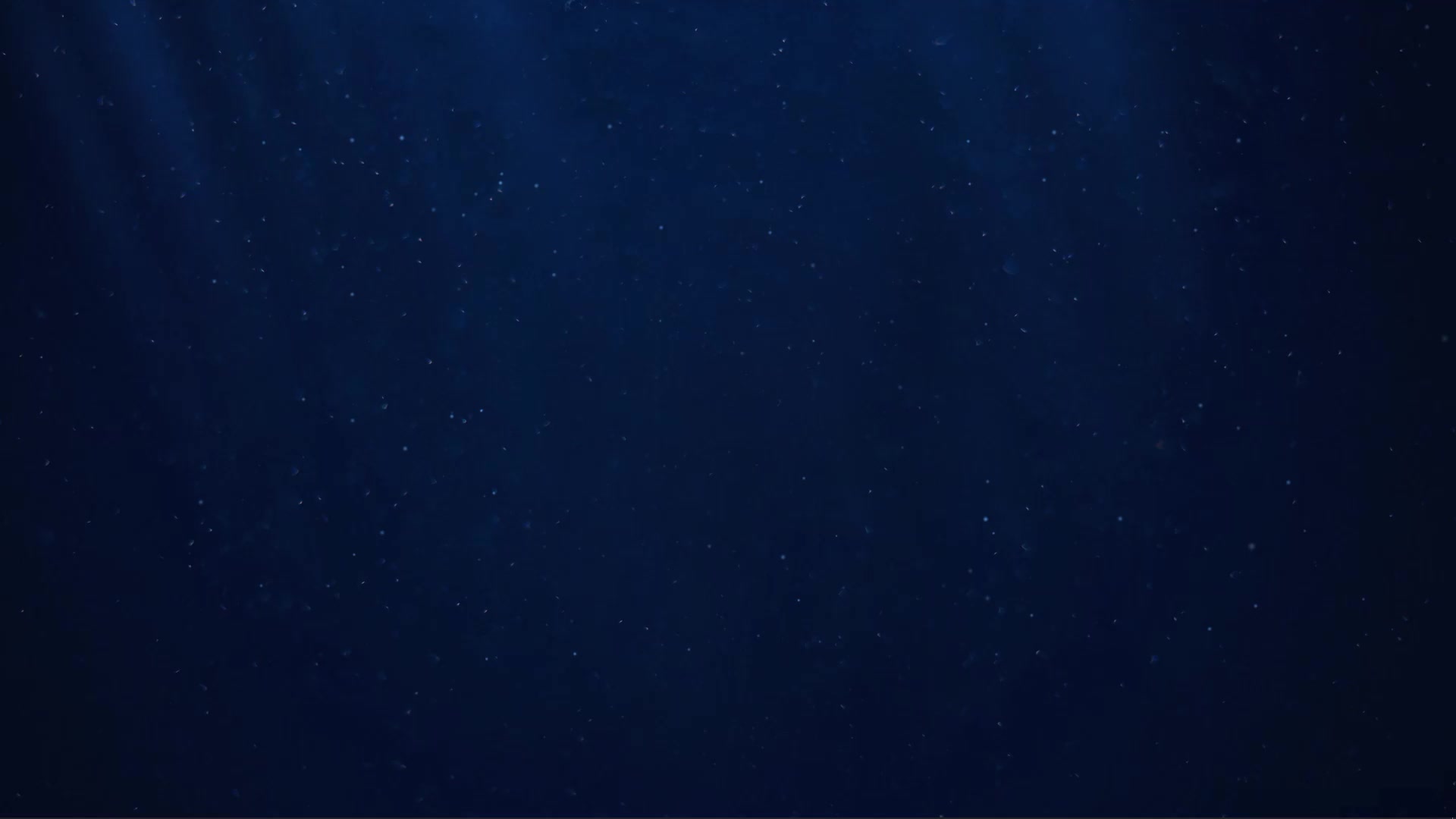 Relaxing Ocean JellyFish Live Wallpaper