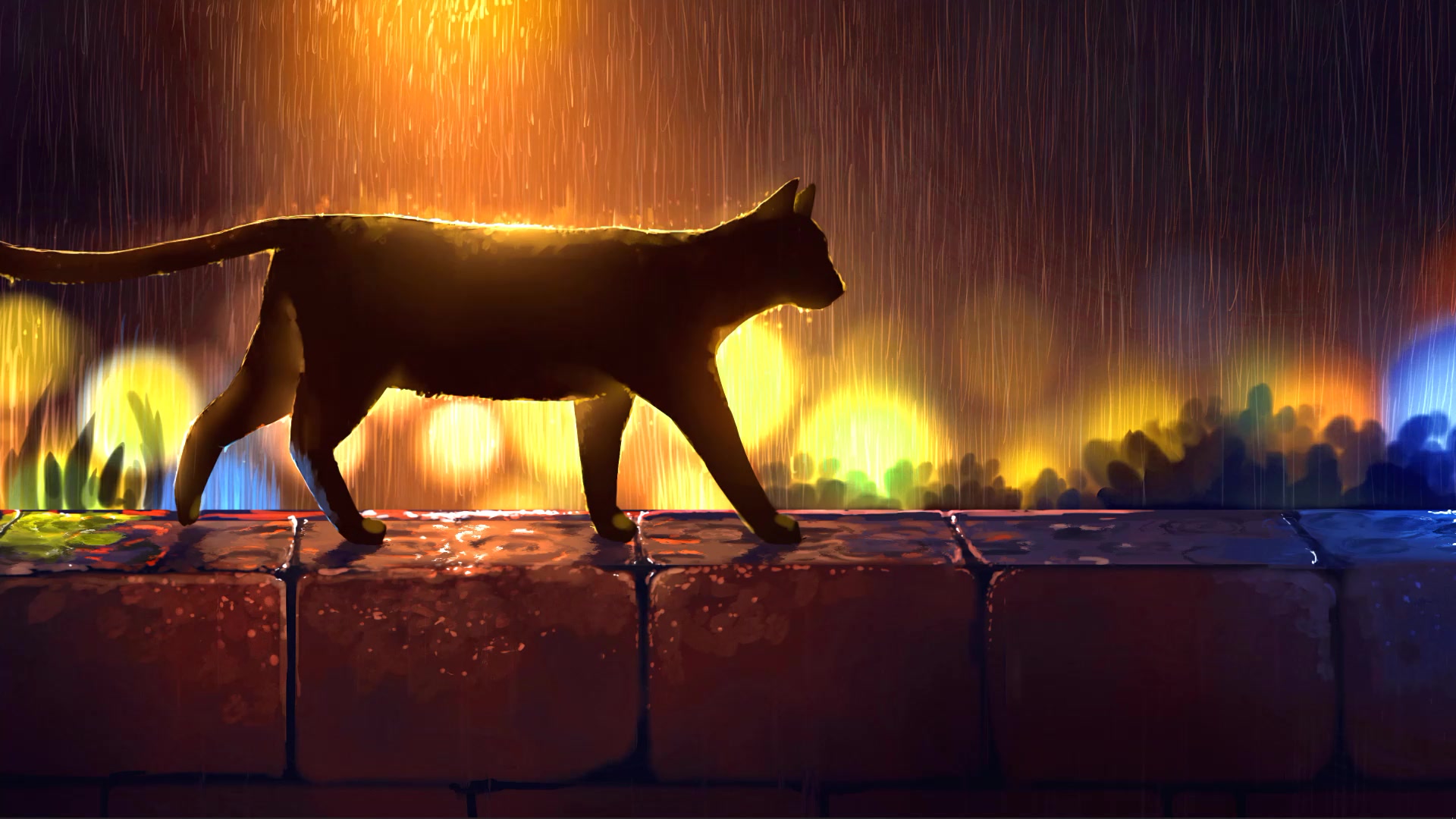 Black Cat in The Rain With Lights Around Live Wallpaper