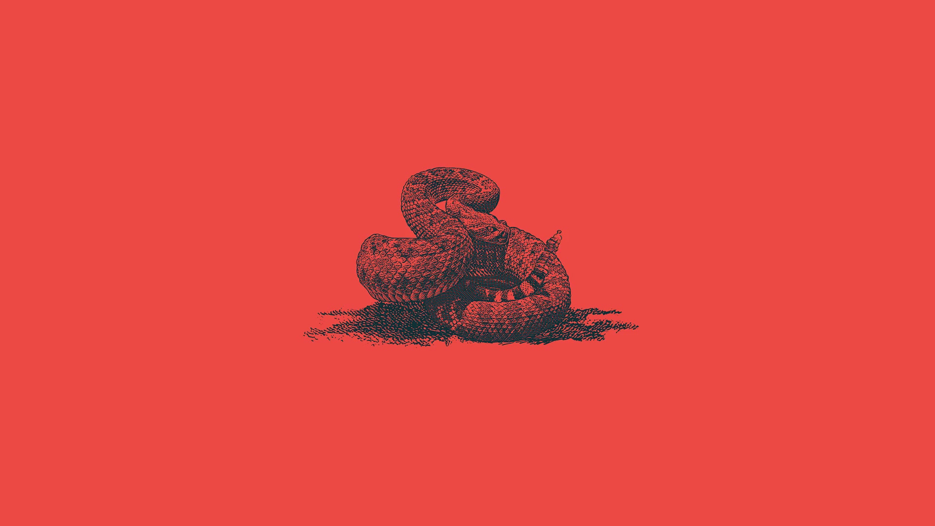 Rattle Snake Live Wallpaper