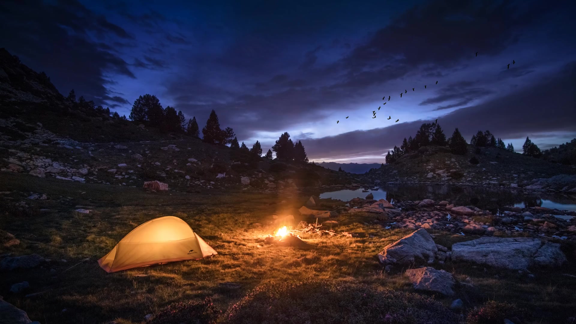 I created fire, tent, night, bonfire Live Wallpaper