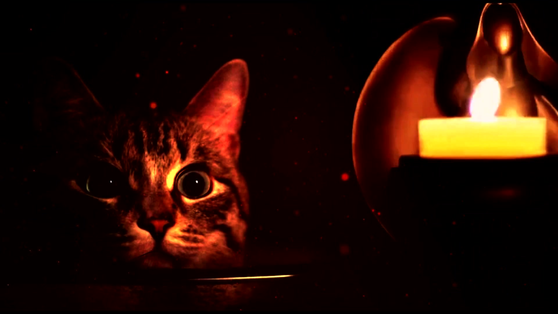 Cat and Candle Live Wallpaper