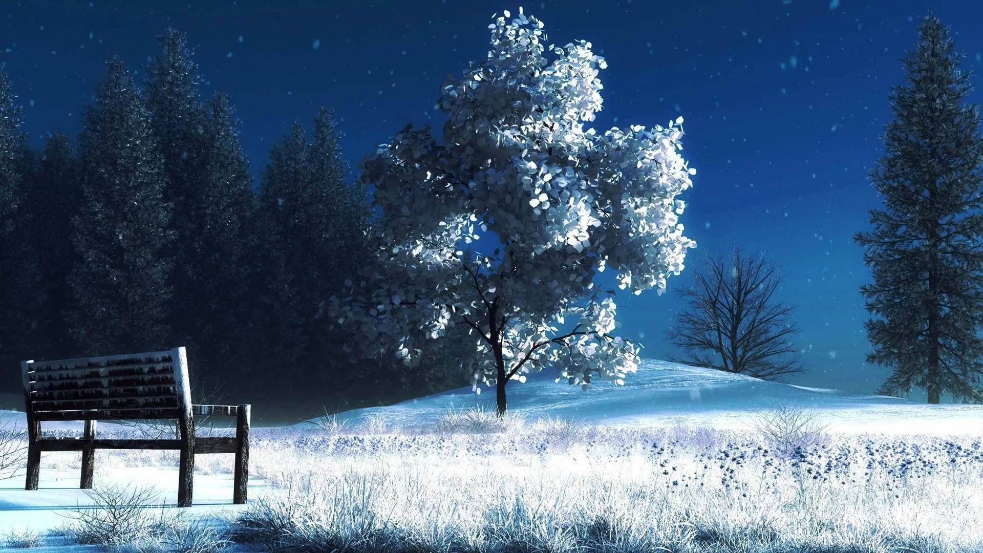 Park In Winter Snow Live Wallpaper