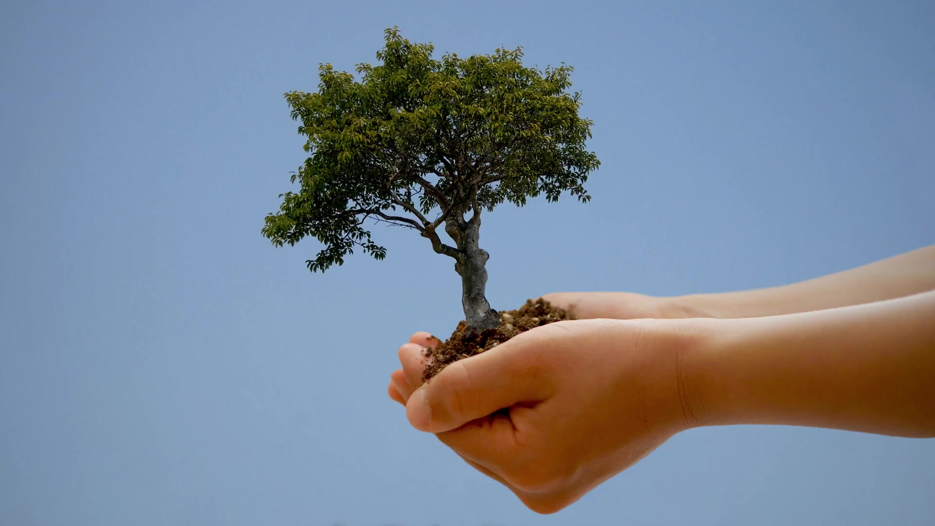 Happy Earth Day Live Wallpaper