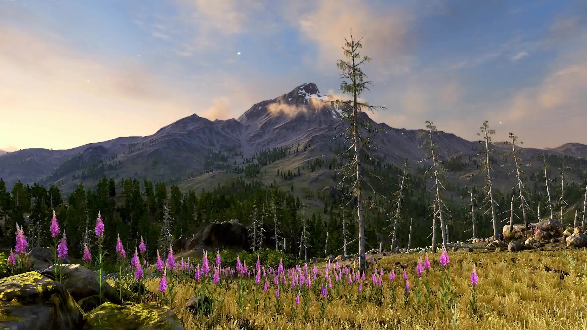 Rocky Mountain High Live Wallpaper
