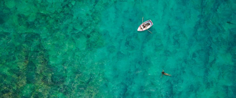 Shark (Requin) Live Wallpaper