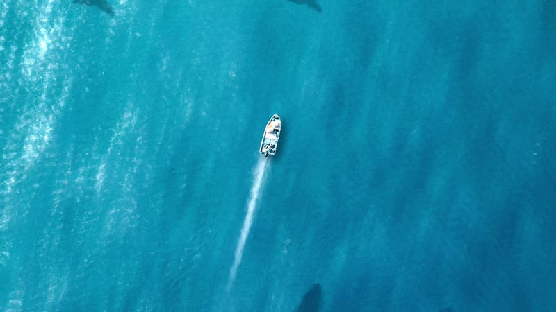 Whales Swimming Beneath Boat Live Wallpaper