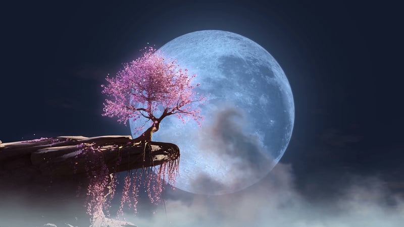 Sakura Dreamscape - Live Wallpaper