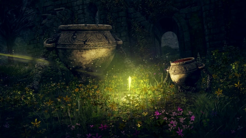 Elden Ring Site Of Grace Live Wallpaper