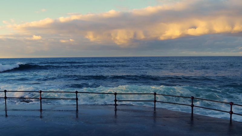 Ocean View Live Wallpaper