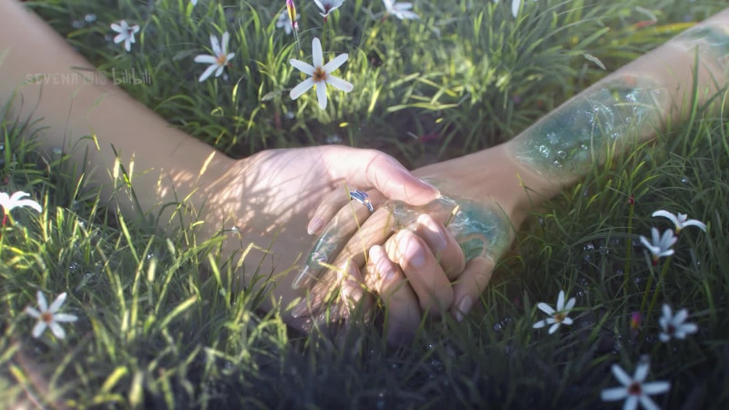 Holding Hands In Nature Live Wallpaper