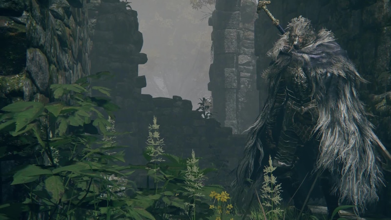 Elden Ring Blaidd Live Wallpaper