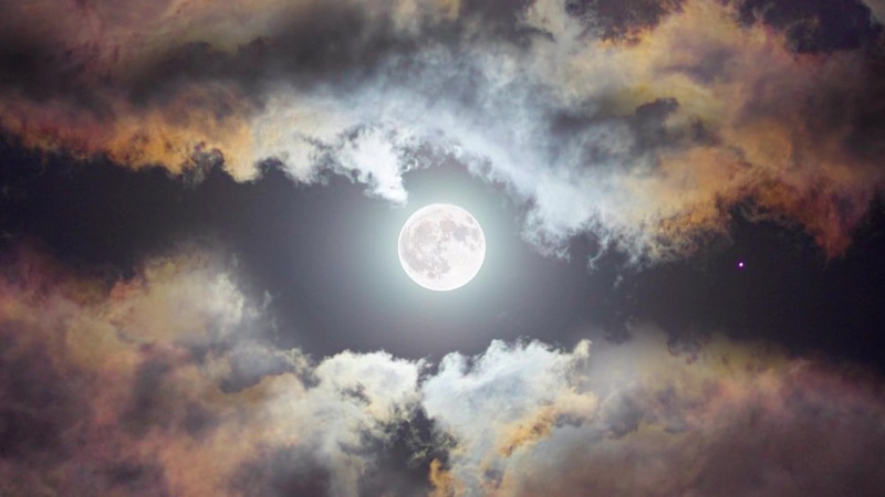 Moonlight Live Wallpaper