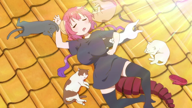 Kobayashi-San Chi No Maid Dragon S-Neko Nap Live Wallpaper