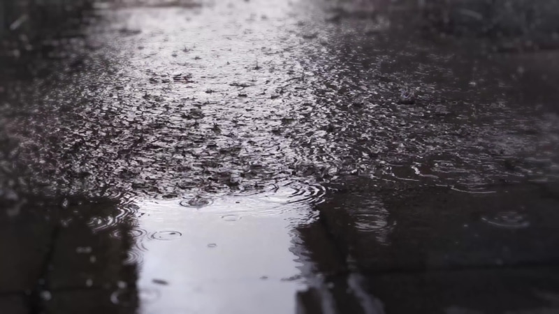 Sound Of Rain Live Wallpaper