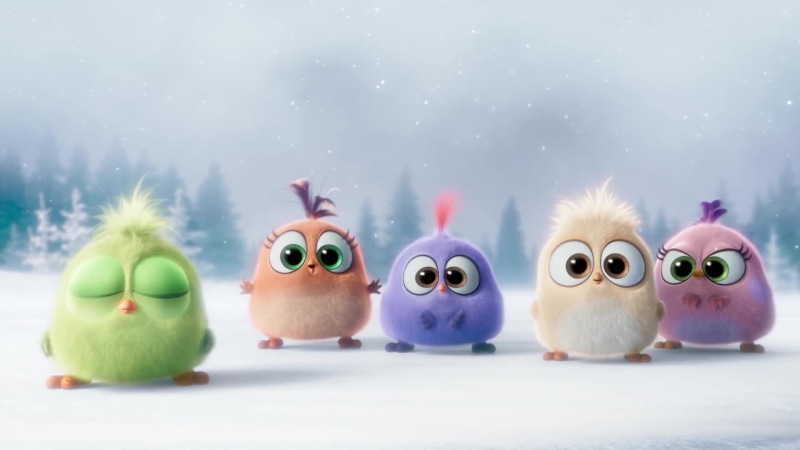 The Angry Birds-Seasons Greetings From The Hatchlings Live Wallpaper