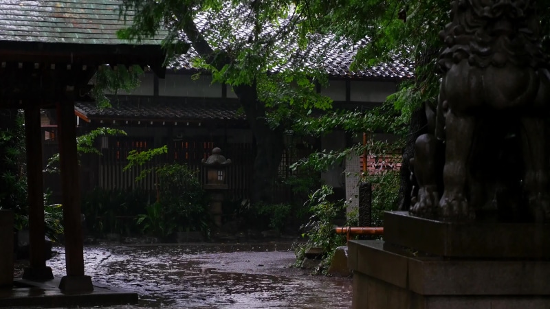 Tokyo Okusawa Shrine In The Summer Rain Live Wallpaper