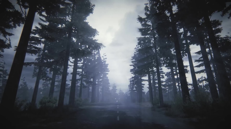 Forest Road Live Wallpaper