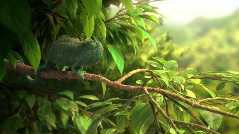 Chameleon In The Forest Live Wallpaper