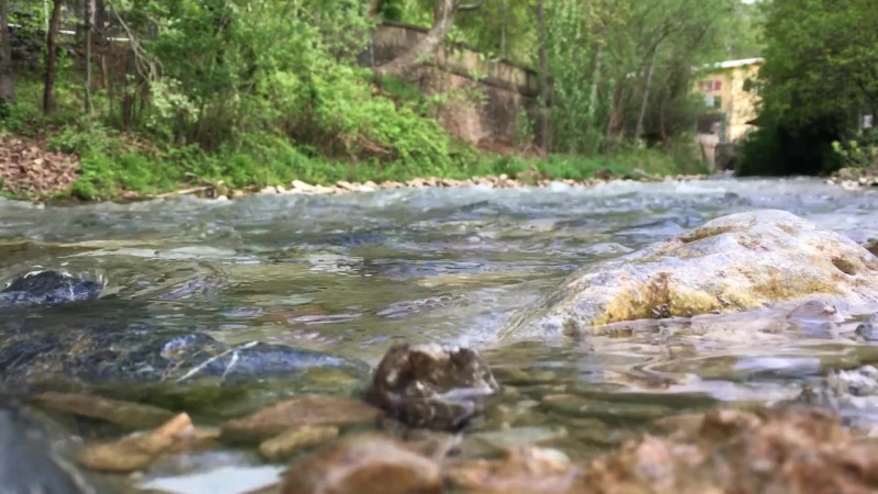 Calm River In Nature Live Wallpaper