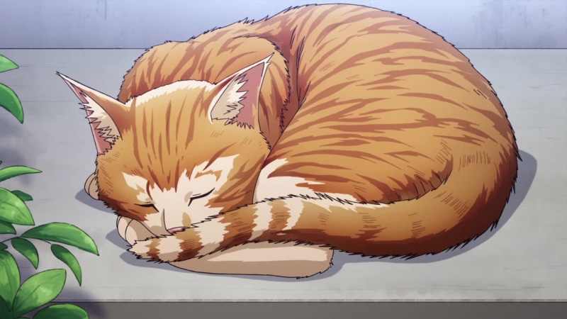 Sleepy Ginger Cat Live Wallpaper